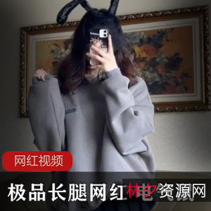 优质长腿网红电气鼠经典合集28V59M，昔日魅力重现